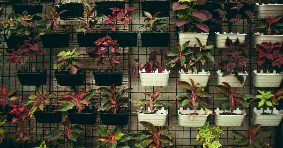 Come realizzare un giardino verticale in casa