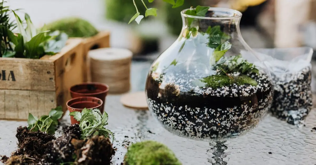 10 idee originali per il tuo giardino fai da te